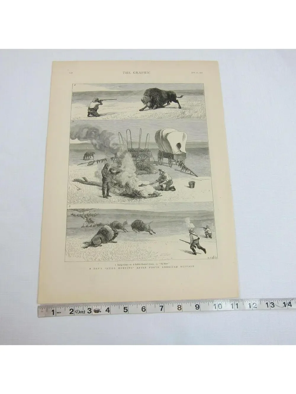 Antique 1877 Print A Days Still Hunting After North American Buffalo The Graphic